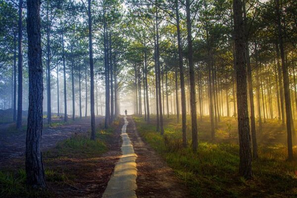 Why Planning is the Foundation of Long-Term Success