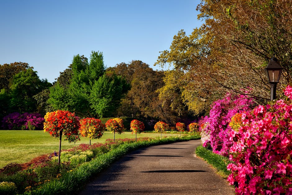 Read more about the article The Work of Becoming: Change, Challenge, and Reinvention