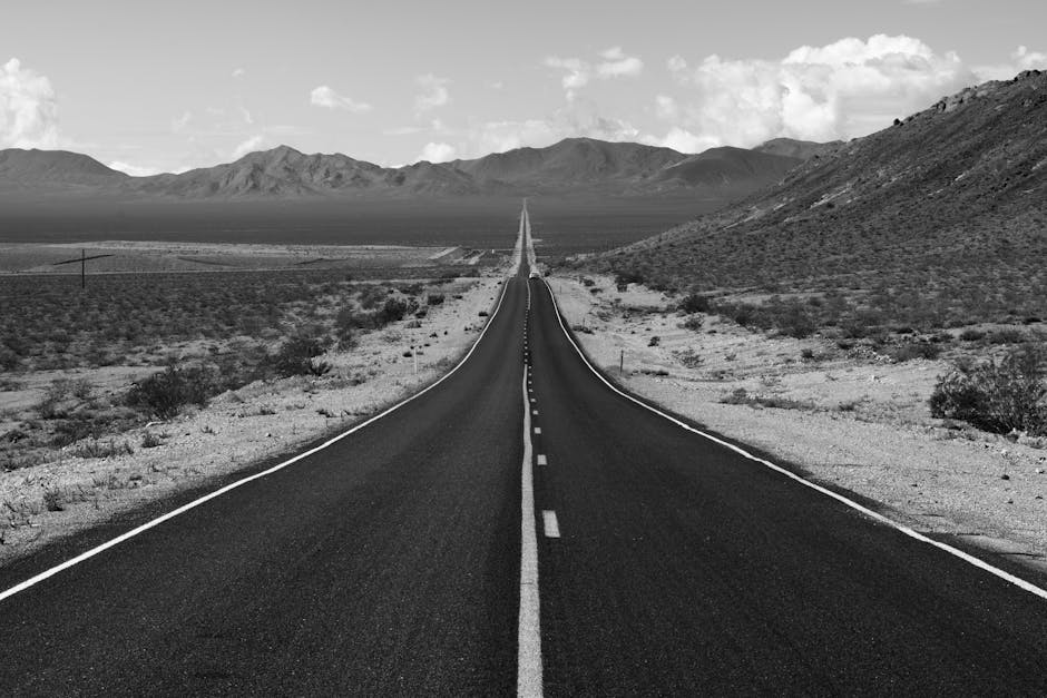 Read more about the article Speculation or Investment: It Seems Now the Distinction Is in the Eye of the Beholder