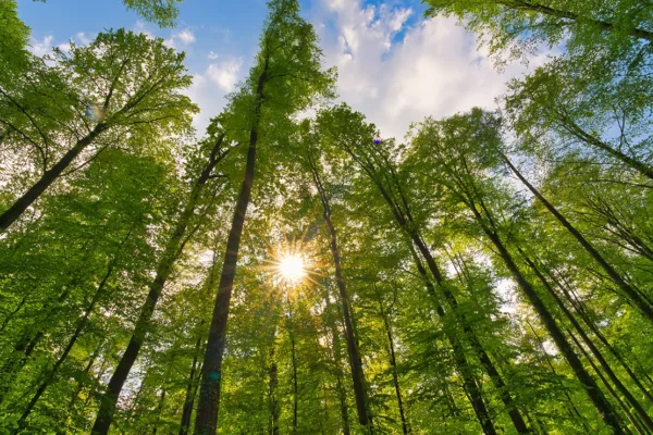 A Reflection on Generosity, Creating, and the Art (or Goal) of Doing Some Good in the World